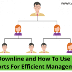What Is Downline and How To Use Downline Reports For Efficient Management_