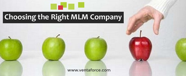 Choosing the Right MLM Company