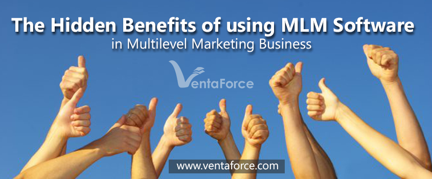 MLM software, MLM business