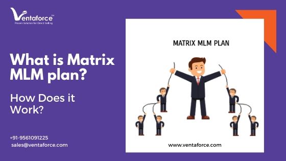 Matrix MLM plan