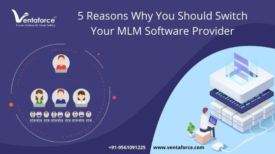 MLM Software Provider