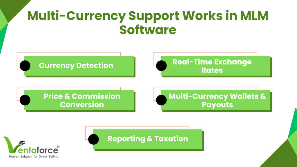 How Multi-Currency Support Works in MLM Software?