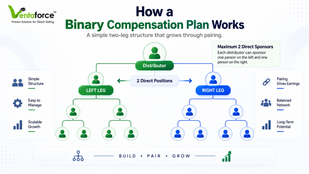 How a Binary Compensation Plan Works infographic showing a distributor with two direct positions—left leg and right leg—with a growing binary network, pairing-based earnings, simple structure, easy management, scalable growth, balanced network, and long-term potential.