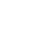 domain knowladge