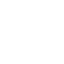 Professional Team