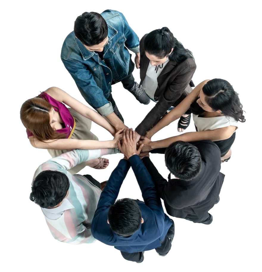 MLM Software Company