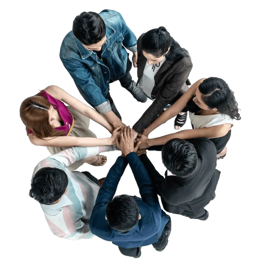 MLM Software Company